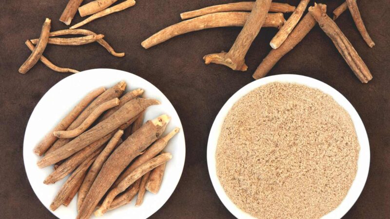 10 Healing Herbs for Anxiety, Inflammation, and More